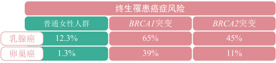 乳腺癌基因检测